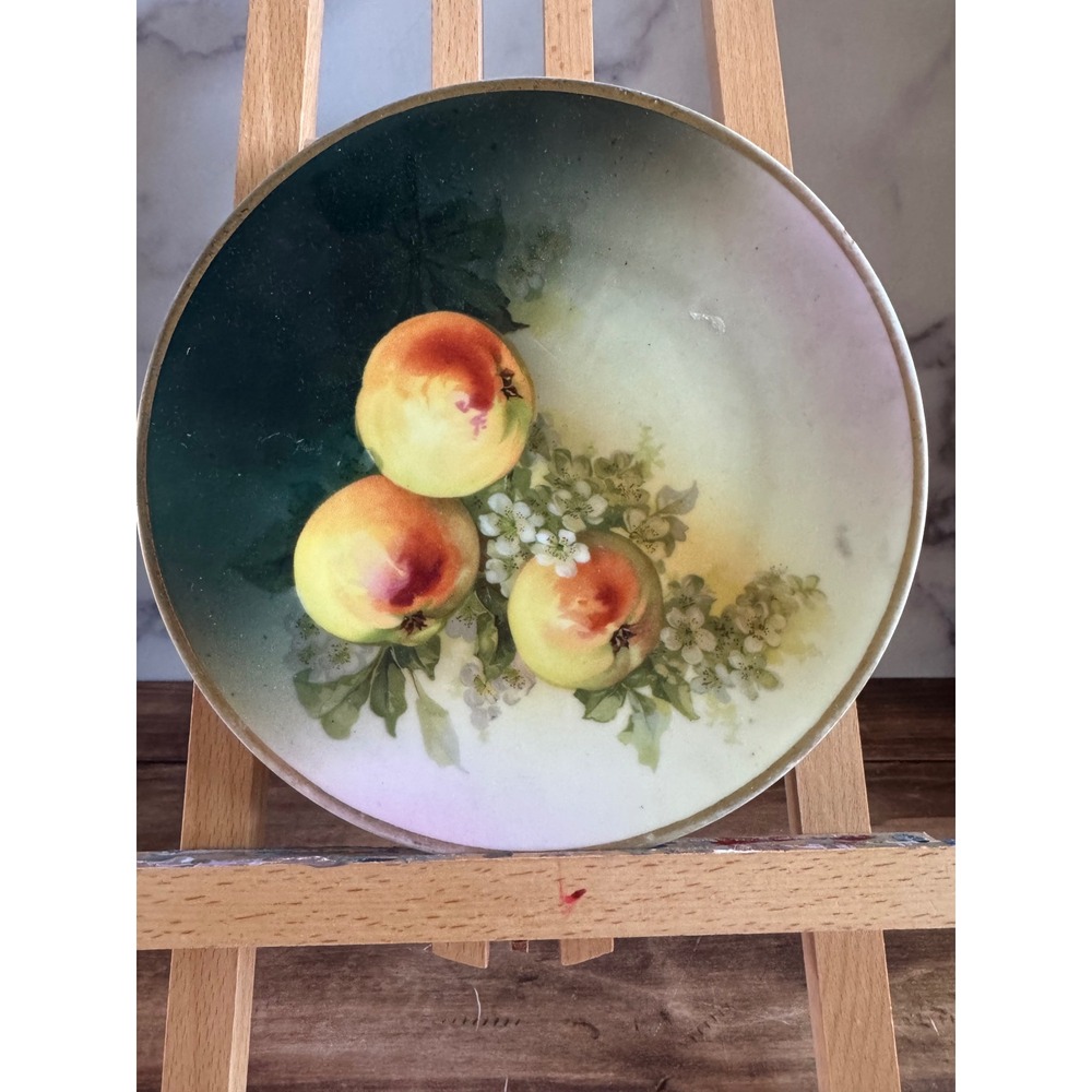 Vintage Turin Bavaria Hand Painted Porcelain Plate Peaches Blossoms 8.25"